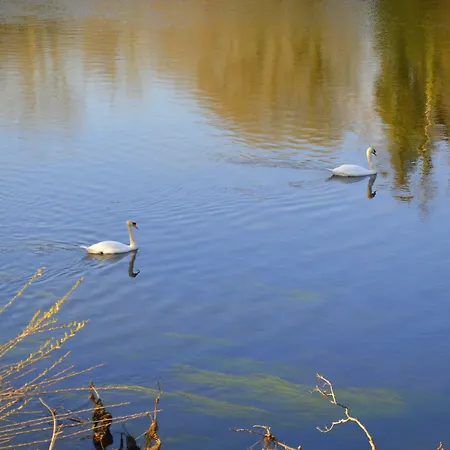 View House Pensionat