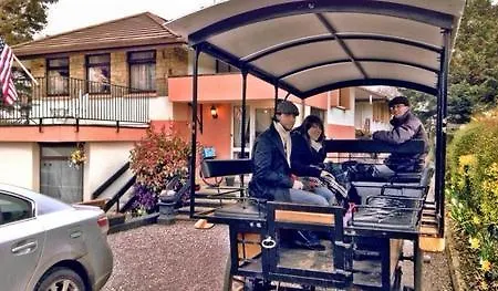 View House Pensionat 3*