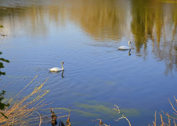 View House Vendégház